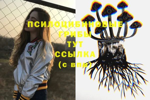 мяу мяу мука Балабаново